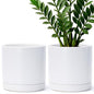 D'vine Dev 2-Pack Ceramic Pots with Saucers, White, 8.2 in, 94-V-D-1 - color: White, size: 8 Inch