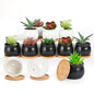 SHECIPIN 12 Pack Succulent Plant Pot, Mini 2.6 inch Ceramic Flower Planter Pot with Bamboo Tray, Small Pots for Plants, Plants Not Included （White, Black） - color: Black,white