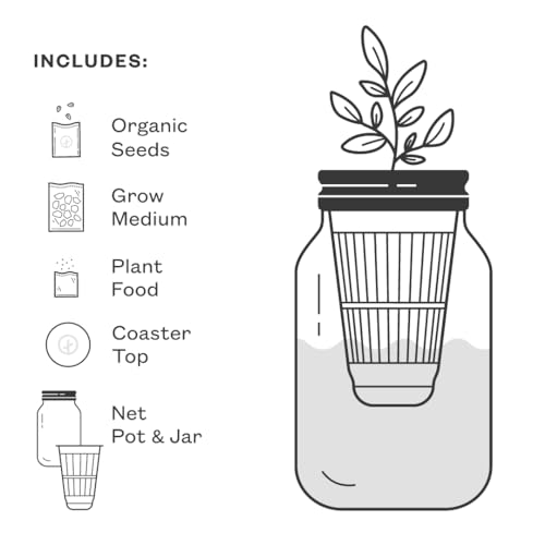 Modern Sprout Mason Garden Jar - Self-Watering Hydroponics Kit - Basil+Mint - color: Basil+mint, size: Garden Jars