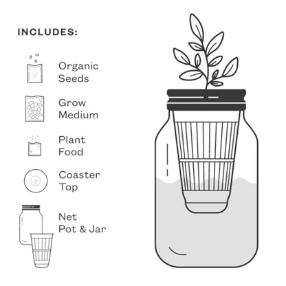 Modern Sprout Mason Garden Jar-Self-Watering Hydroponics Kit-Basil+Cilantro - color: Basil+cilantro, size: Garden Jars