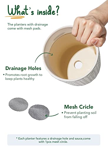 LE TAUCI Ceramic Pots for Plants, 5.4 Inch Plant Pots with Drainage Hole and Saucer, Indoor Plant Pots for Succulent, Snake Plants and Cactus, Flower Pots, Set of 2, Reactive Glaze White - size: 5.4 inch, style: Clover Trellis & Vertical Ribbed Set