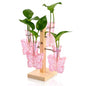 Nacome Plant Terrarium Propagation Stations: Pink Vase with Wooden Stand - color: Pink