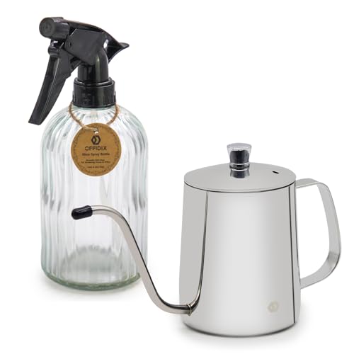 Watering Can for Indoor Plants, Silver Stainless Steel Watering Can 2 Pack - color: Silver Watering Can + Clear Spray Bottle