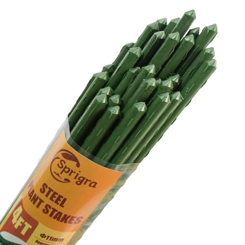 Garden Stakes 4ft, Metal Plant Stakes 48 inch, Sturdy Plant Support for Climbing Plants, Tomatoes, Beans, Cucumbers, Peppers, Flowers, Potted, Strengthen and Stem to Grow Better - size: 4FT, 25 of pack