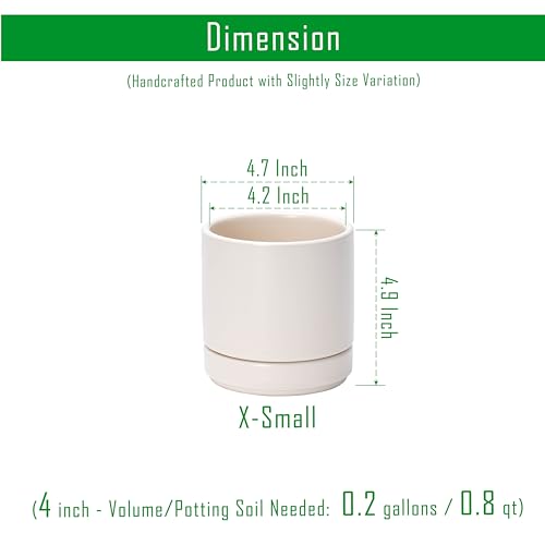 D'vine Dev 2-Pack Ceramic Pots with Saucers, Oatmeal, 4.7 in, 94-V-B-8 - color: Oatmeal, size: 4.7 Inch