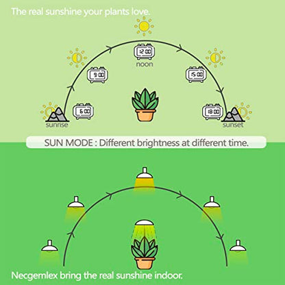 Smart Grow Light Bulbs for Indoor Plants, Programmable Timer and Dim - size: 4 Pack