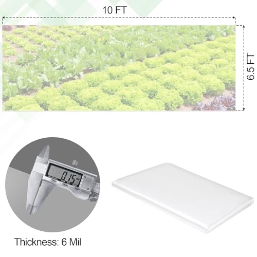 6.5 x 10 FT Clear Greenhouse Plastic Sheeting, 6 Mil Polyethylene Film Heavy Duty, Water Sun Frost Wind Dust Resistant Winter Hoop House Toughness Plastic Cover for Farming, Gardening, Agriculture,DIY - size: 6.5 x 10 FT