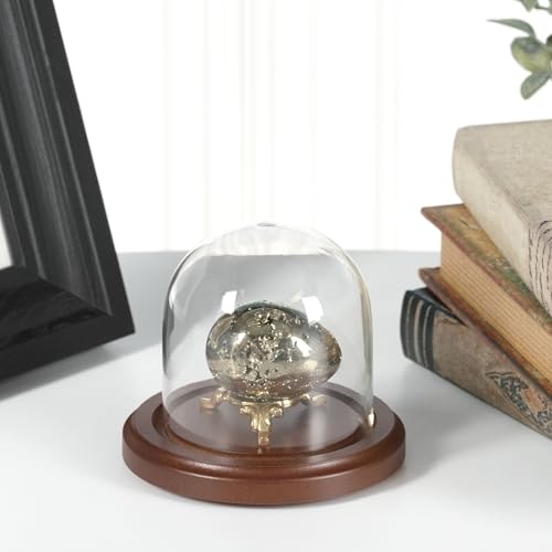 Plymor 3 inch x 3 inch Glass Display Dome Cloche (Dark Wood Base) - color: Dark Wood Base