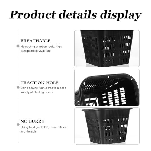 Cabilock 10-Pack 5.5 Inch Square Root-Control Pots – Thickened Plastic Slotted Net Pots for Hydroponics, Air-Pruning Nursery Holder for Orchids, Monsteras & Aroids (Black)