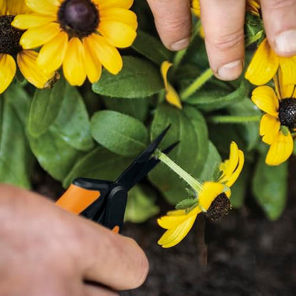 Fiskars 6" Non-Stick Pruning Snips, Resin-Resistant Garden Scissors - style: Non-Stick Snips