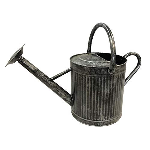 Gardener Select (W3002P-JA Metal Watering Can - Modern Indoor & Outdoor Watering Pot with Handles & Removable Rosette (9.5 Liter, Silver Black)