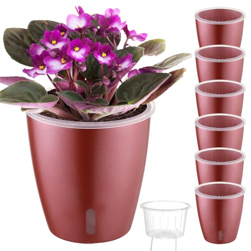 Self Watering Pots for Indoor Plants, 6-Pack 5'' Self Watering Planter with Drainage Holes, Small African Violet Pots with Water Indicator, Clear Wick Orchid Pot, Rose Gold - color: Rose Gold/6 Pack, size: 5"