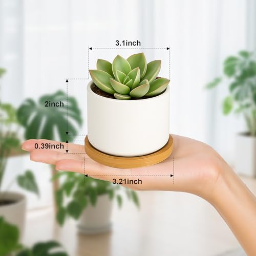 ZOUTOG 6 Pack 3.1" Ceramic Succulent Pots,White Planter with Drainage Tray - color: Bright White, size: 6 Pack
