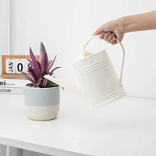 Plastic Indoor Watering Can with Sprinkler Head - 68 oz, 1/2 Gallon - color: White