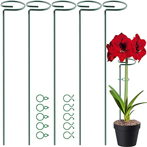 HiGift 17 inch Plant Support Stakes, 4mm Thick Garden Single Stem Flower Support Stake Amaryllis Plant Cage Support Rings with 10 pcs Plant Clips for Tomato Orchid Lily Peony Rose Flower Stem-5 Pack - size: 17 Inch-5 Pack