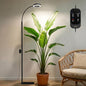 GLOWRIUM Grow Lights for Indoor Plants,Full Spectrum Plant Light with Stand - color: Black-Single Head