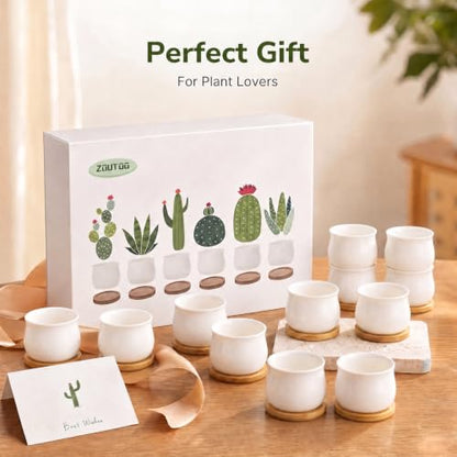 ZOUTOG 12 Pack 2.6" Mini Ceramic Succulent Pots with Drainage Hole - size: 2.6inch