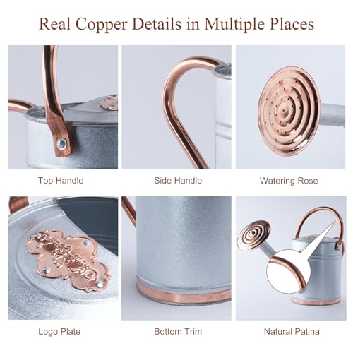 1 Gallon Outdoor Metal Watering Can with Real Copper Details - color: Stardust & Vermilion