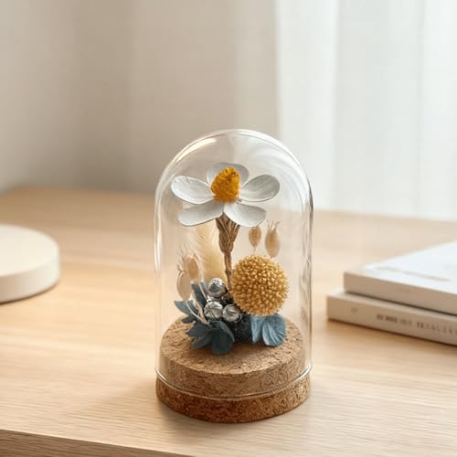 2 PCS Mini Glass Dome Bell Jar with Cork Base (1.97x2.76 Inch) - size: 1.97x2.76inch