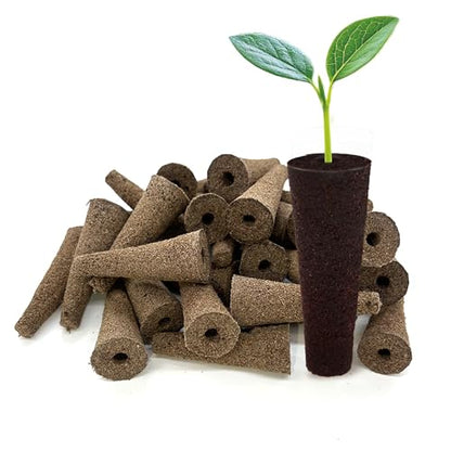 Grow Sponges 50 Pack, 0.94" W*2.56" H