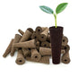 Grow Sponges 50 Pack, 0.94" W*2.56" H