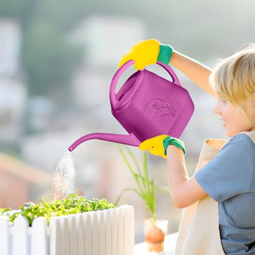 Plant Watering Can - 1/2 Gallon - Rose Red - color: Rose Red