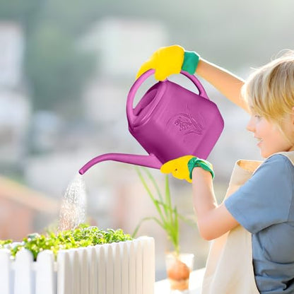 Plant Watering Can - 1/2 Gallon - Rose Red - color: Rose Red