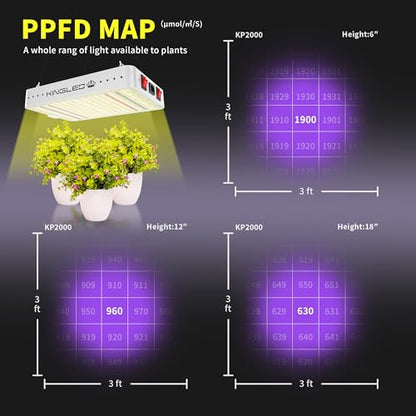 KingLED KP2000 Grow Light for Indoor Plants, Full Spectrum Plant Grow Light - size: KING2000