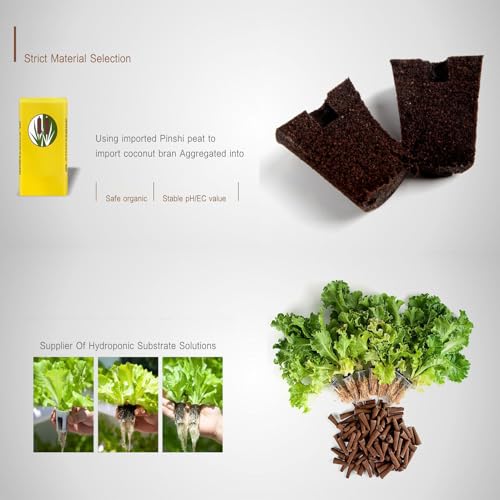 Hydroponic Grow Sponges | 20 Pieces Growing Replacement Blocks | Hydroponic Sponges Replacement | for Lettuce Vegetables Flowers Soil Systems Yard Farm Porches Courtyards Balconies Terraces