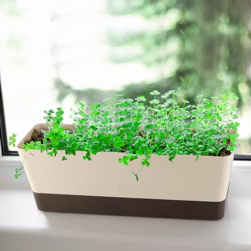 Window Box Planter with Tray, 12" Rectangle Plant Pot, Pack of 3 (Beige) - color: Beige