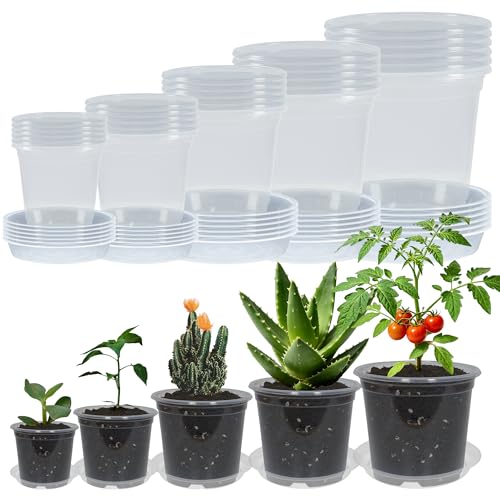 30 Pack 3/4/5/6/7 Inch Clear Nursery Pots with Drainage and 30 Pack Plant Saucers, Plant Pots for Plants Transparent Potting Containers for Plants Seeding Starter Pot (Clear, 3/4/5/6/7 Inch) - color: Clear, size: 3/4/5/6/7 Inch