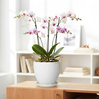 8 Inch Plant Pot, Ceramic Planters with Saucer, White - color: White, size: 8 Inch