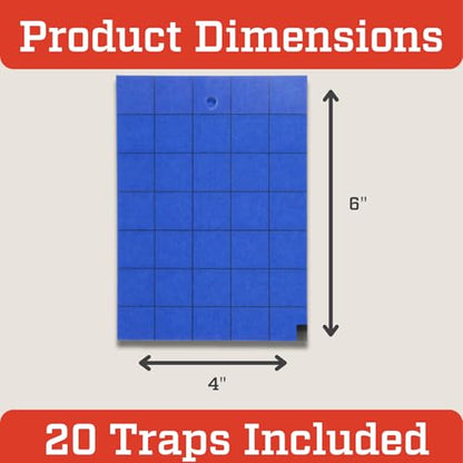 Tanglefoot Sticky Tangle-Trap Cards 20 Pack - 4"x6" – Double-Sided Yellow & Blue Hanging Traps for Garden, Plants & Greenhouse Use - size: 4"x6"