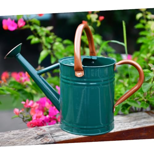 Metal Watering Can 1 Gallon for Outdoor Garden Plants, Green - color: Green With Copper Accents