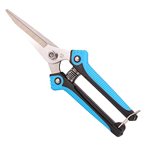 ARFUKA Garden Scissors, Pruning Shears with Straight Blades, Florist Scissors, Multi-Tasking Garden Snips for Arranging Flowers, Trimming Plants and Harvesting Herbs, Fruits or Vegetables (Blue)