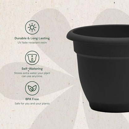 Bloem Ariana 12" Plastic Self-Watering Planter, Black, 2-Pack - color: Black, size: 12" (Pack of 2)