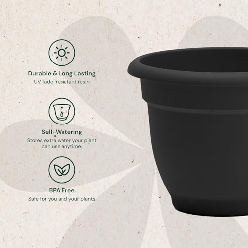 Bloem Ariana 10" Plastic Self-Watering Planter, Black, 4-Pack - color: Black, size: 10" (Pack of 4)
