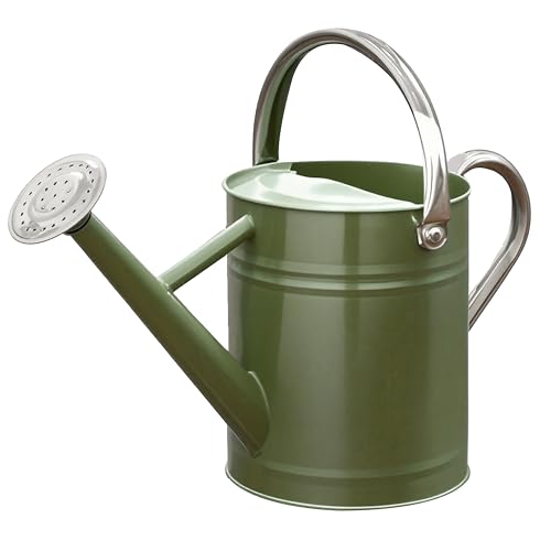 Metal Watering Can, 1 Gallon for Outdoor Garden Plants,EGreen - color: Emerald Green