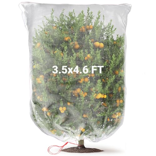 Sukh Bird Netting for Garden Protection - Blueberry Bush Netting