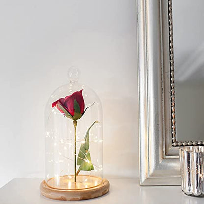 Lyellfe 2 Pack Cloche Glass Dome with Rustic Wooden Base