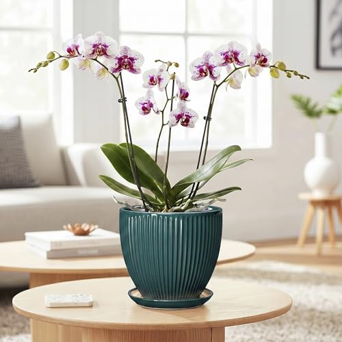 Ceramic Flower Pots, 6 Inch Planters with Saucer, Blackish Gree - color: Blackish Green, size: 6 Inch