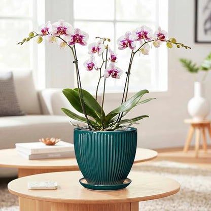 Ceramic Flower Pots, 6 Inch Planters with Saucer, Blackish Gree - color: Blackish Green, size: 6 Inch