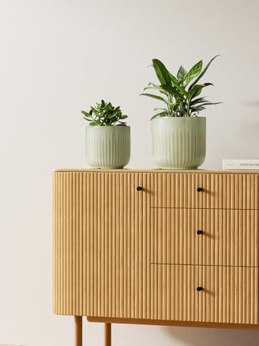 LE TAUCI Ceramic Pots for Plants, 8.3/7/6 Inch Indoor Planters with Drainage Holes & Mesh, Modern Glossy Glaze Cylinder Fluted Plant Pot for Snake Plant, Set of 3, Sage Green - color: Sage Green