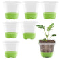 6pcs Seed Starter Tray, Silicone Seeding Starter with Pop-Out Cells - size: 6 PCS Green