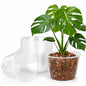 15 Pack 8 Inch Clear Nursery Pots, Large Clear Plant Pots with Drainage - size: 8 Inch-15 Pack