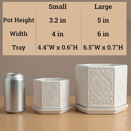 Ceramic Pots for Plants Set of 2, 6-Inch & 4-Inch Wide w/ Drainage & Saucer