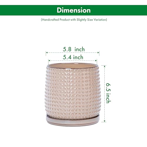 D'vine Dev 2-Pack Beaded Ceramic Pots, 6 in, Light Brown, 27-E-X-4 - color: Light Brown