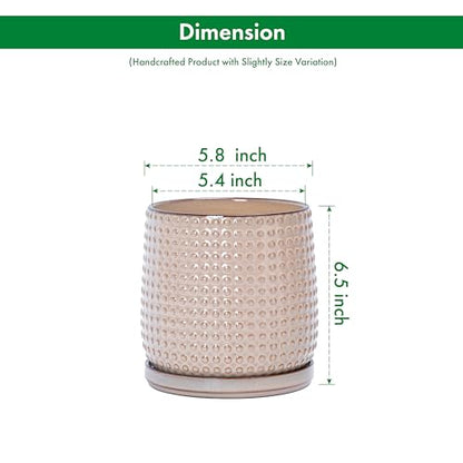 D'vine Dev 2-Pack Beaded Ceramic Pots, 6 in, Light Brown, 27-E-X-4 - color: Light Brown