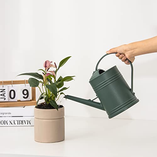 Plastic Indoor Watering Can with Sprinkler Head - 68 oz, 1/2 Gallon - color: Dark Green