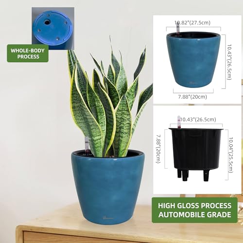 Dexceder 11x10 Self Watering Planter (Peacock Blue Gradient) - color: Peacock Blue, size: 11x10